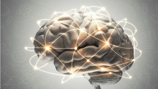 6 Dinâmicas para Potencializar o Aprendizado Natural -Neurociência Aplicada à Educação Domiciliar
