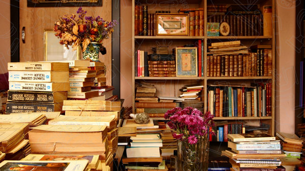 Como viviam os Puritanos: Educação - Parte 1.