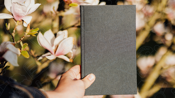 8 Orientações para a Leitura de Livros Cristãos